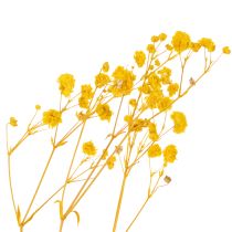 gjenstander Tørket blomsterbukett med babypust. Dekorative blomstrende grener egnet for sesongbasert borddekorasjon. 70 cm