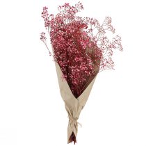 gjenstander Gypsophila paniculate gipsurt i bær L50cm 55g