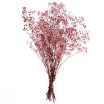 gjenstander Gypsophila paniculate gipsurt i bær L50cm 55g