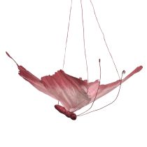 gjenstander Stor hengende sommerfugldekorasjon, elegant veggdekorasjon, 50 cm, 2 stk.