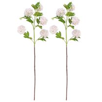 gjenstander Snøballplante Kunstige blomster Rosa Hvit L78cm 2stk