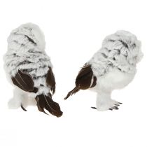 gjenstander Snøugle dekorativ figur, uglepar, hvit og brun, 12 cm høy, 2 deler