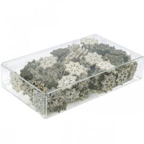 gjenstander Snowflakes treglitterblanding Ø2cm 144p
