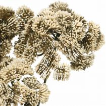 gjenstander Sedum kunstig blomst sedum krem blomsterdekorasjon høst 70cm 3stk