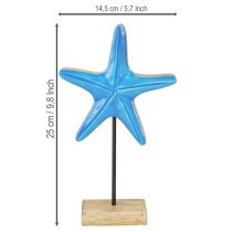 gjenstander Sjøstjernedekor på base maritimt naturlig blått tre H25cm