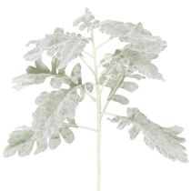 gjenstander Kunstig Senecio-gren, sølvblad, ragwort, detaljert, 45 cm, 3 stk.