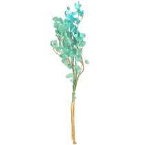 gjenstander Tørket sølvblad Lunaria lyseblå 65-70 cm 20 g