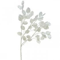 Dekorativ gren sølv blad hvit Lunaria gren kunstig gren 70cm