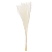 gjenstander Tørkede blomster, sølvgress. Elegant naturlig dekorasjon for hjem og kontor. 70 cm, 10 stk.