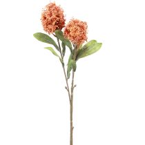 gjenstander Skimmie Skimmia Japonica kunstige blomster Oransje DryLook L59cm
