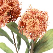 gjenstander Skimmie Skimmia Japonica kunstige blomster Oransje DryLook L59cm