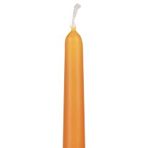 gjenstander Koniske stearinlys, pinnelys, Wenzellys, oransje, 250/23 mm, 12 stk.