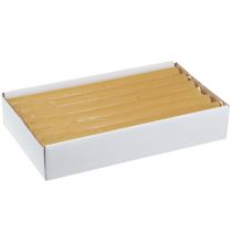 gjenstander Koniske lys ensfargede lys honning 21×240mm 12 stk