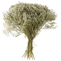 gjenstander Tørkede blomster strandlavendel Statice 2kg naturlig dekorasjon