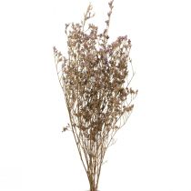 gjenstander Beach Syrin Limonium Tørkede Blomster Lilla 70cm 50g