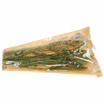 gjenstander Wild grass bukett tørr blomster 50g