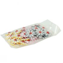 gjenstander Strødekor marihøne blomst trefilt farge Ø4cm 48 stk