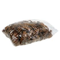 gjenstander Strobuskjegler 10-15cm malt 100 stk