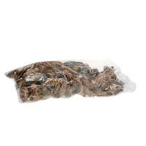 gjenstander Strobuskjegler 15 - 20cm malt 100 stk