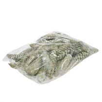 gjenstander Strobuskjegler dekorasjon eplegrønn hvitvasket 15-20cm 50 stk