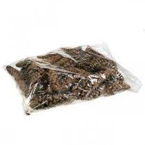 gjenstander Kongler Hvit furu Strobus Naturlig Blandet 2,5kg