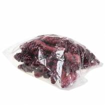 gjenstander Strobuskjegler dekorasjon rød hvitvasket 15-20cm 50 stk