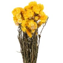 gjenstander Tørket gul stråblomst (Helichrysum) tørket blomsterbukett, 100 g
