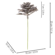 gjenstander Kunstige sukkulenter i voksblomster dekorasjon 10 cm 6 stk