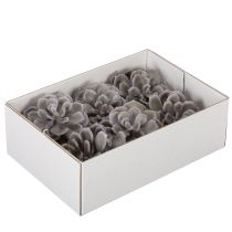 gjenstander Kunstige sukkulenter i voksblomster dekorasjon 10 cm 6 stk