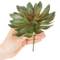 gjenstander Kunstig sukkulent som dekorativ plante, grønn, 18 cm, 3 stk.