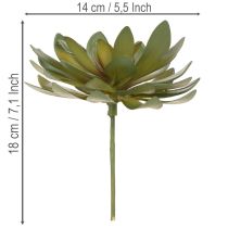 gjenstander Kunstig sukkulent som dekorativ plante, grønn, 18 cm, 3 stk.