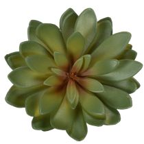 gjenstander Kunstig sukkulent som dekorativ plante, grønn, 18 cm, 3 stk.