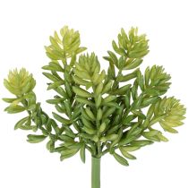 gjenstander Kunstig sukkulentblomst for vedlikeholdsfri design av oppholdsrom og kontorer, 15 cm, 5 stk.