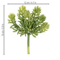 gjenstander Kunstig sukkulentblomst for vedlikeholdsfri design av oppholdsrom og kontorer, 15 cm, 5 stk.