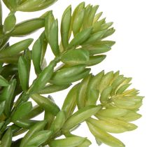 gjenstander Kunstig sukkulentblomst for vedlikeholdsfri design av oppholdsrom og kontorer, 15 cm, 6 stk.