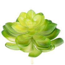 gjenstander Kunstig sukkulent, grønn, til dekorasjon i bolle eller vase, 10 cm, 4 stk.