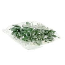 gjenstander Sukkulent Echeveria Ø6,5cm L11cm 6 stk