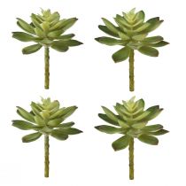 gjenstander Kunstige sukkulenter kunstige planter grønne Ø10cm 4stk