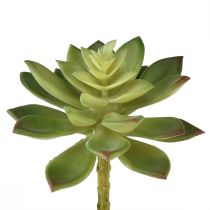 gjenstander Kunstige sukkulenter kunstige planter grønne Ø10cm 4stk