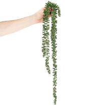 gjenstander Kunstig plante hengende krans sukkulent dekorasjon stue