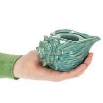 gjenstander Telysholder skjell dekorativt bordlys bad stue 16cm