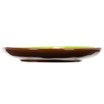 gjenstander Runde keramikktallerkener med kiwimotiv, egnet for spisebord eller kjøkken, 16 cm, 2 stk.