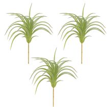 gjenstander Tillandsia Grønne Kunstplanter med Pinne Ø17cm 3 stk