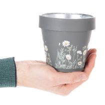 gjenstander Blomsterpotte med tusenfrydmotiv for stilig interiørdesign, 11 cm, 4 deler