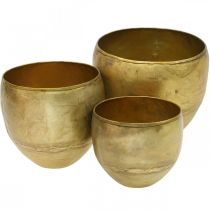 Dekorative vaser metallvaser i messinglook Ø17,5/15/13 cm sett med 3 stk.