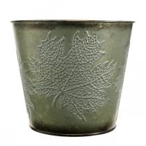 gjenstander Plantekrukke med høstdekorasjon, metallpynt, høstplanter grønn Ø18,5cm H17cm