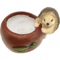 gjenstander Plantekar, eple med pinnsvin, høstdekorasjon, cachepot, keramikk Ø16cm H22cm B33cm