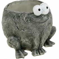 Gryteklut frosk med smilegrå 11x12cm