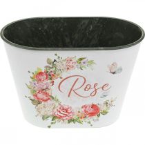gjenstander Plantekar, dekorative potteroser, blomsterskål L19cm H12,5cm
