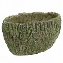 gjenstander Plantekasse betong oval antikk utseende grønn, brun 24×14×13cm